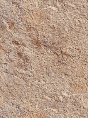 SAFARI BEIGE
