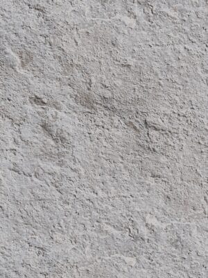 SAFARI GREY