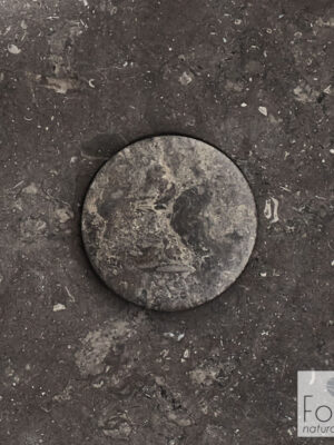 ΤΑΠΑ ΝΙΠΤΗΡΟΣ FOSSIL GREY